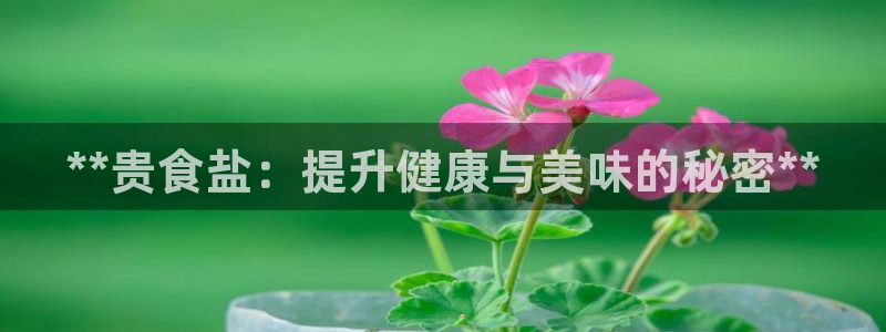 威九国际APP客服