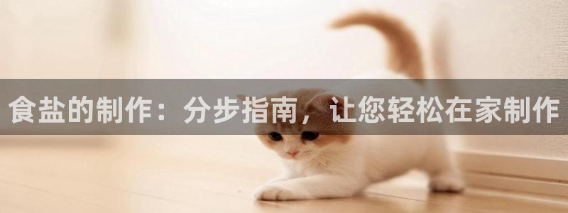 威九国际ft