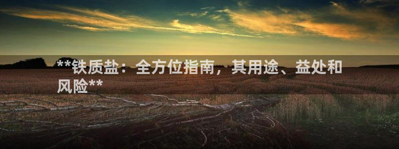 威九国际APP大全