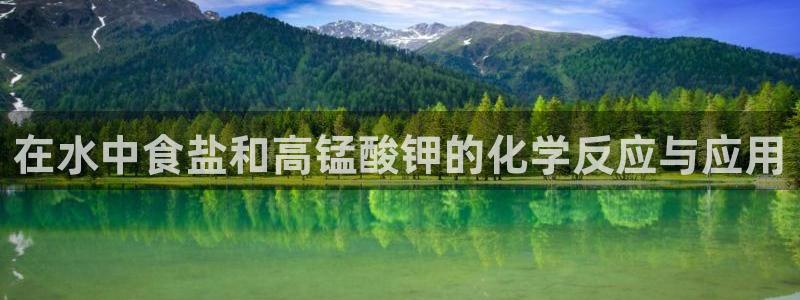 威九国际女演员名单介绍