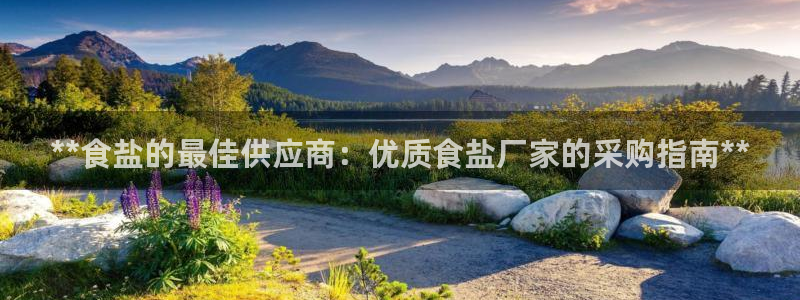 威九国际网站入口官网首页