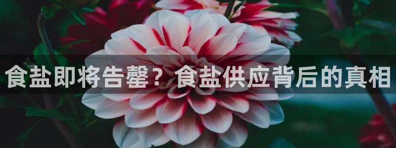 威九国际网站更新了吗