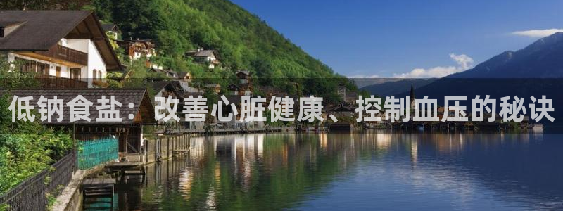 威九国际软件