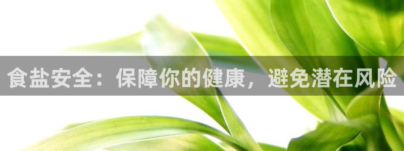 威九国际app网站官网