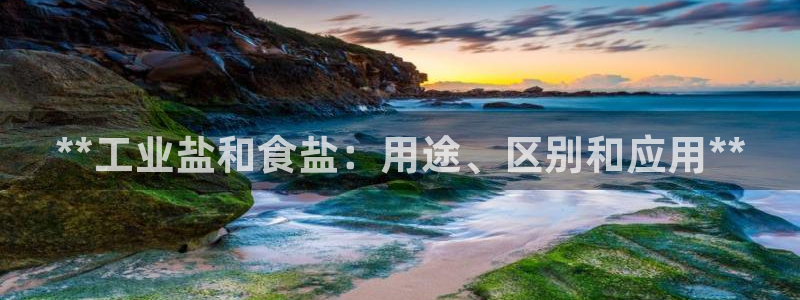 威九国际网站游戏