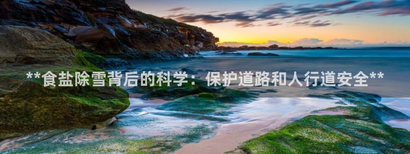 威九国际天美