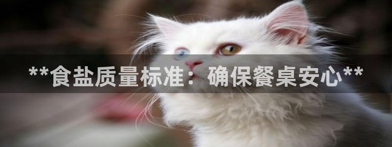 威九国际FT
