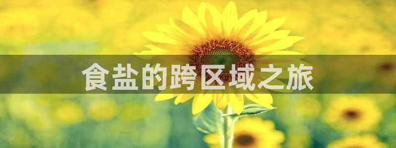 威九国际78mb