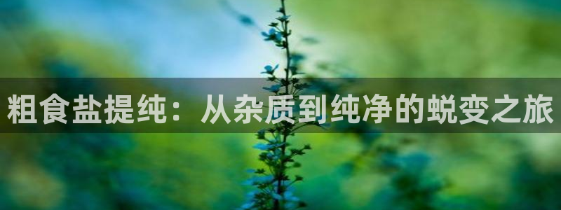 威九国际客服电话号码是多少