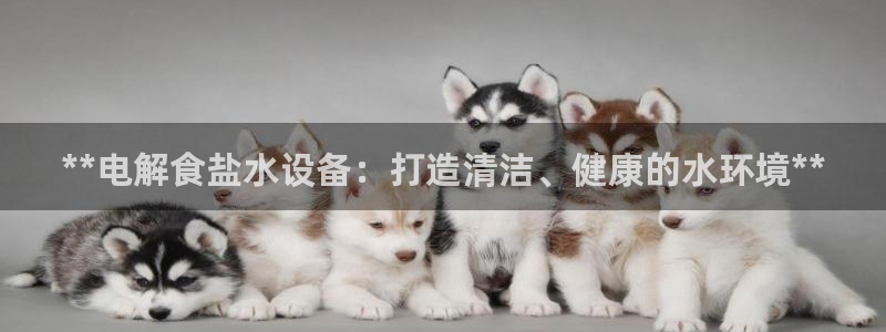 威九国际66m官网版