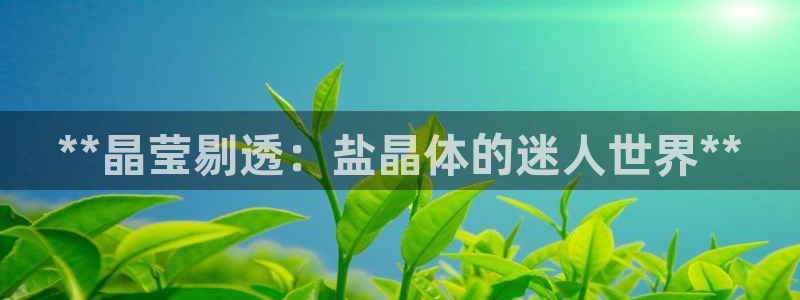 威九国际可以提现吗安全吗