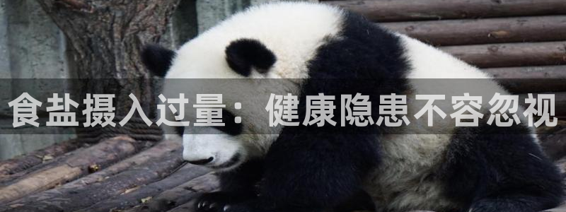 威九国际系列
