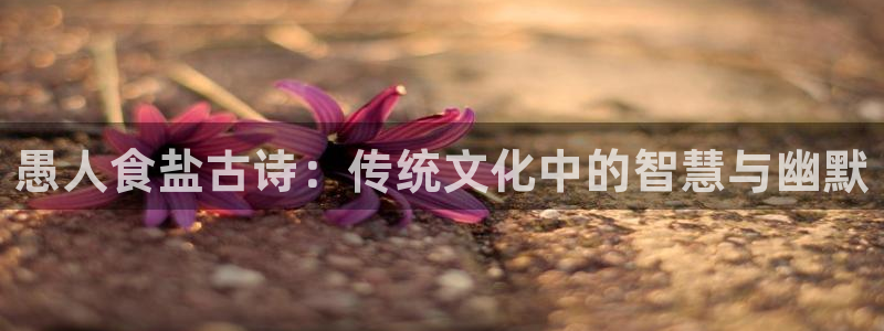 威九国际免费版