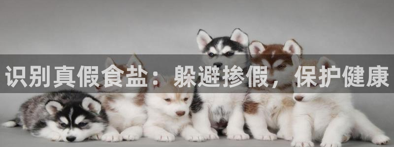 威九国际观看