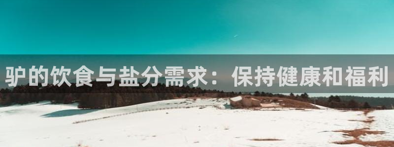 威九国际网站游戏