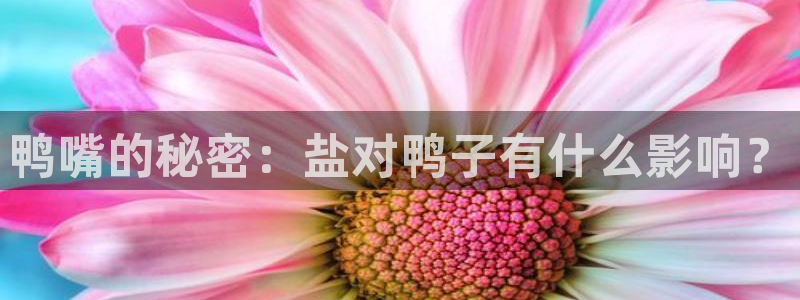 威九国际成长模式