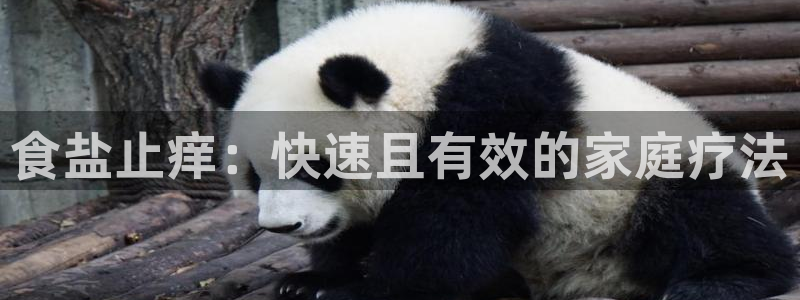 威九国际免费