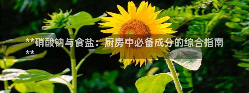 威九国际摩托电影HD