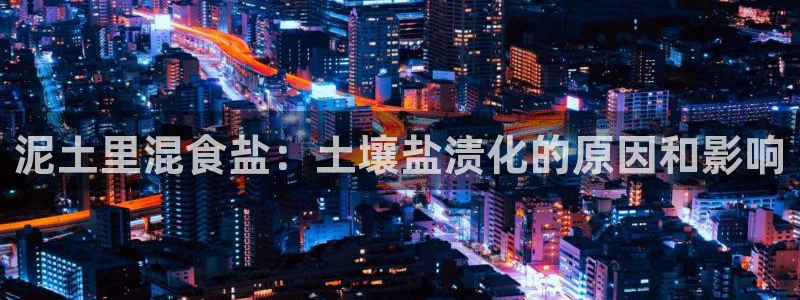 威九国际女演员名单介绍