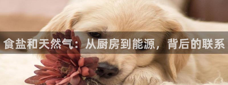 威九国际提款不出来