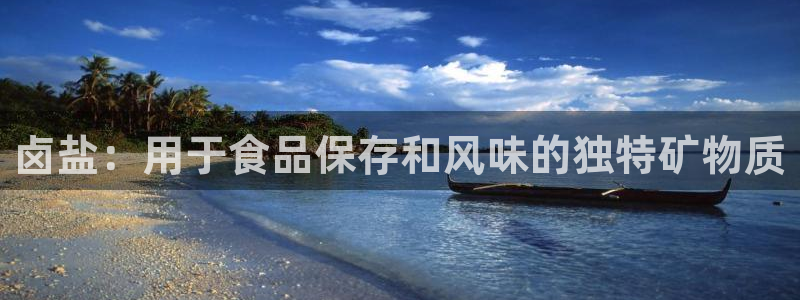 威九国际免费游戏