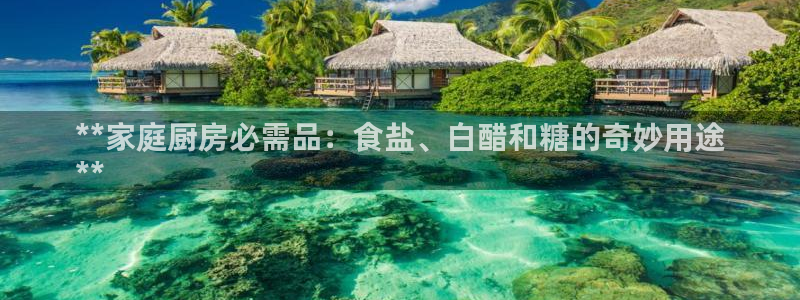 威九国际网站经常打不开网页