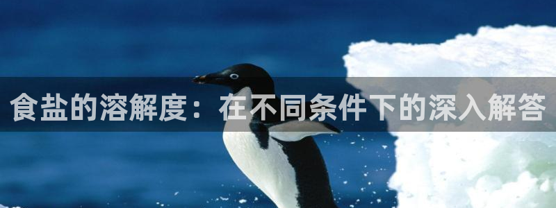 78mapp威九国际成全视频