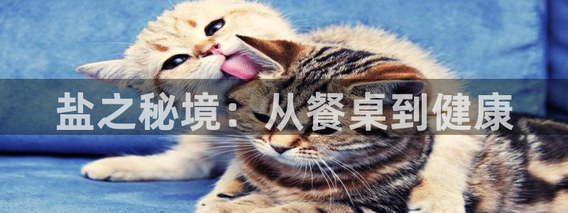 威九国际的金融服务有哪些