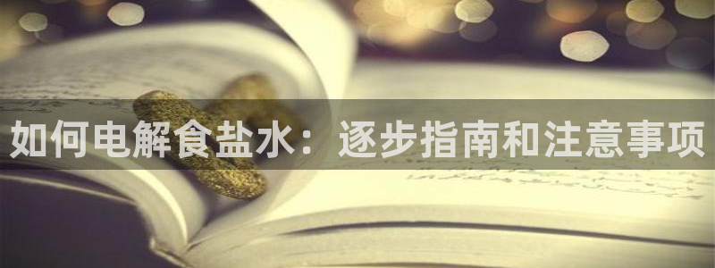 威九国际软件