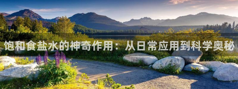 威九国际清砖码