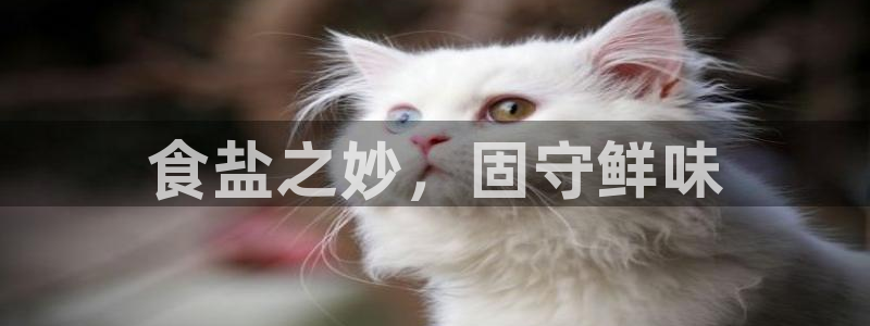 威九国际官网在线进入网站查询