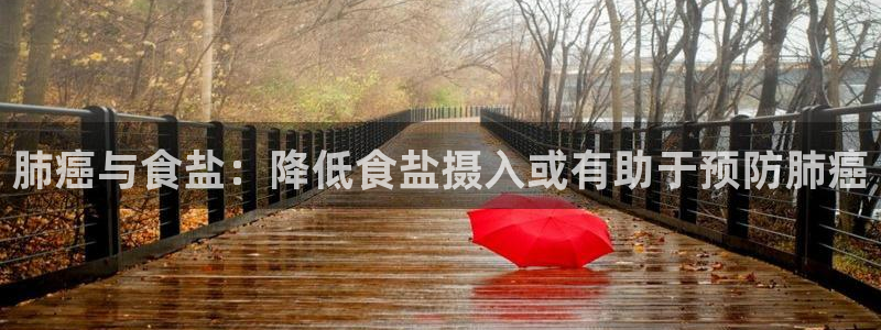 威九国际空降