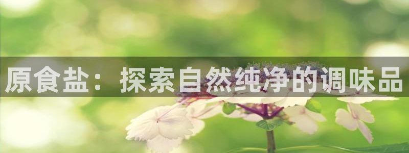 威九国际免费进入