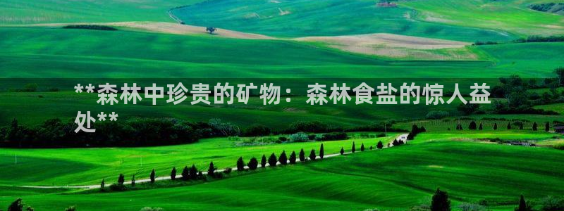 威九国际78mob官网版