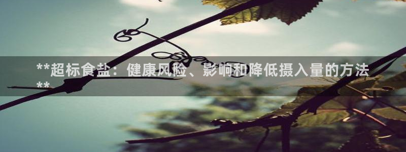 威九国际66m-66