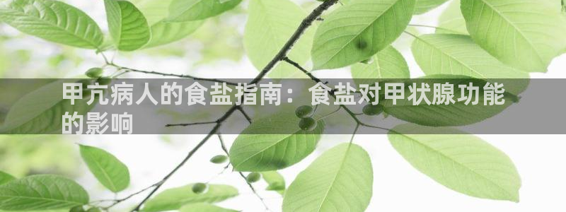 威九国际官网版下载