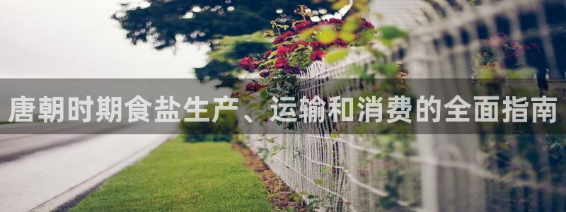 威九国际第一页