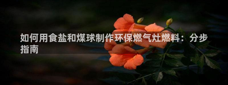 威九国际女儿的朋友