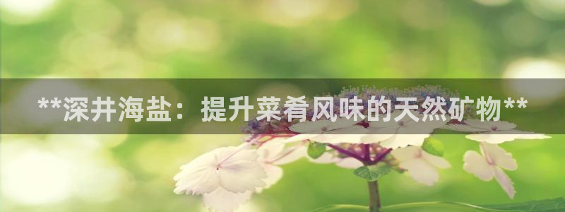 威九国际app网站官网