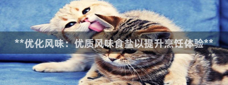 威九国际可以退钱吗怎么退的