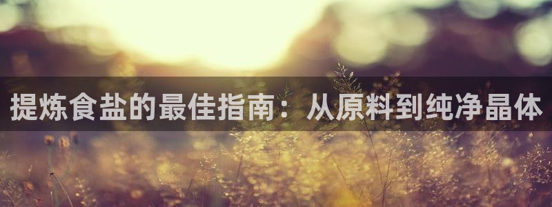 威九国际网站入口官网免费