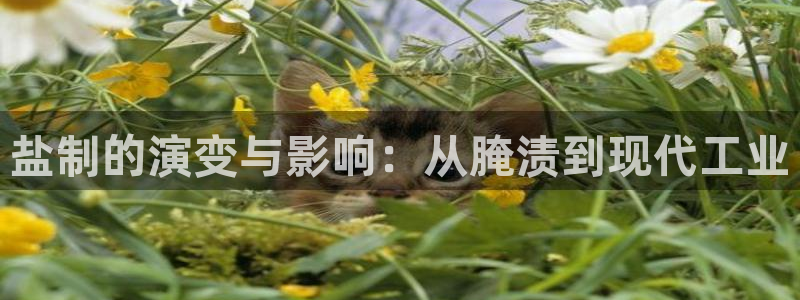 威九国际清砖码头怎么样