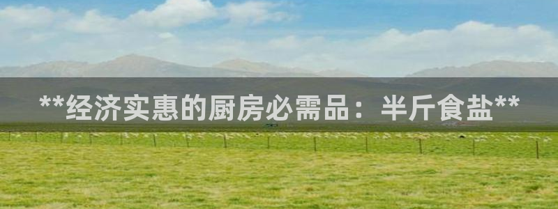 威九国际ppt免费