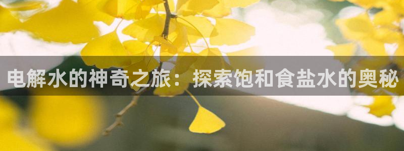 威九国际网站入口官网免费下载