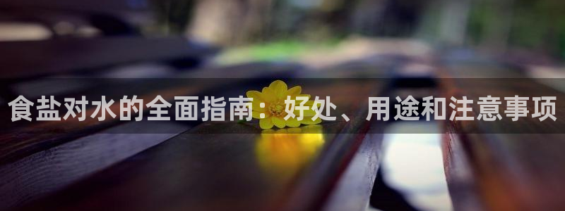 威九国际全国空降