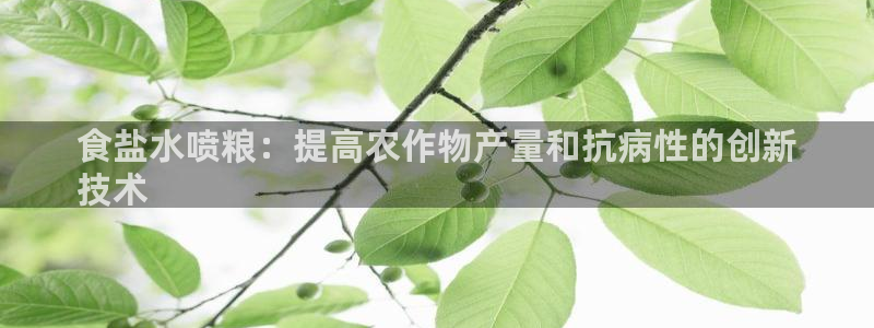 威九国际78m域名