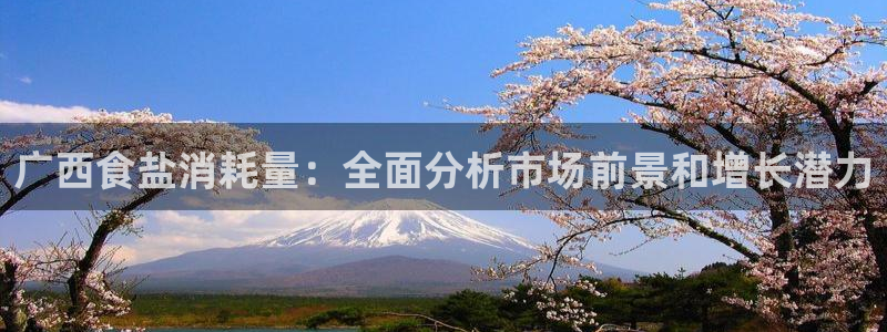 威九国际fX8x