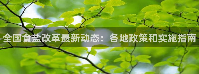 威九国际演员表