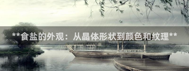 威九国际视频传媒招聘