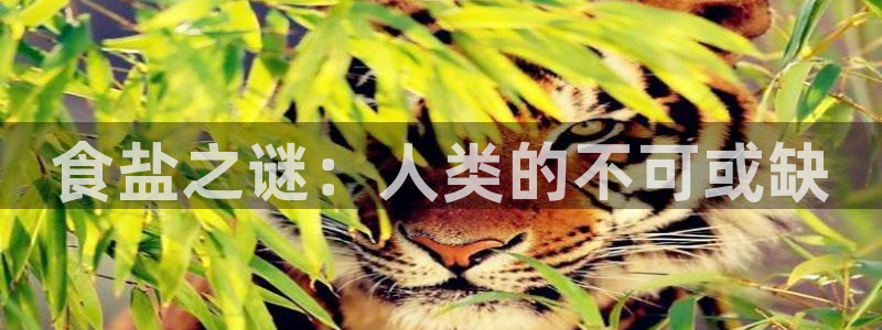 威九国际Info
